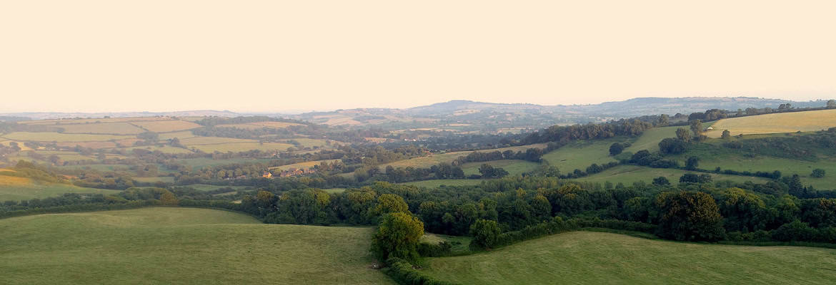 Rolling green hills and fields with scattered trees under a pale sky, viewed from an elevated vantage point.